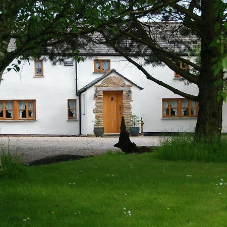 Armidale Cottages B&B Workington Extérieur photo