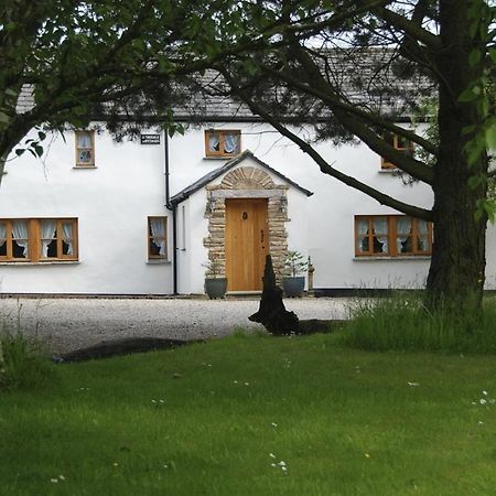 Armidale Cottages B&B Workington Extérieur photo