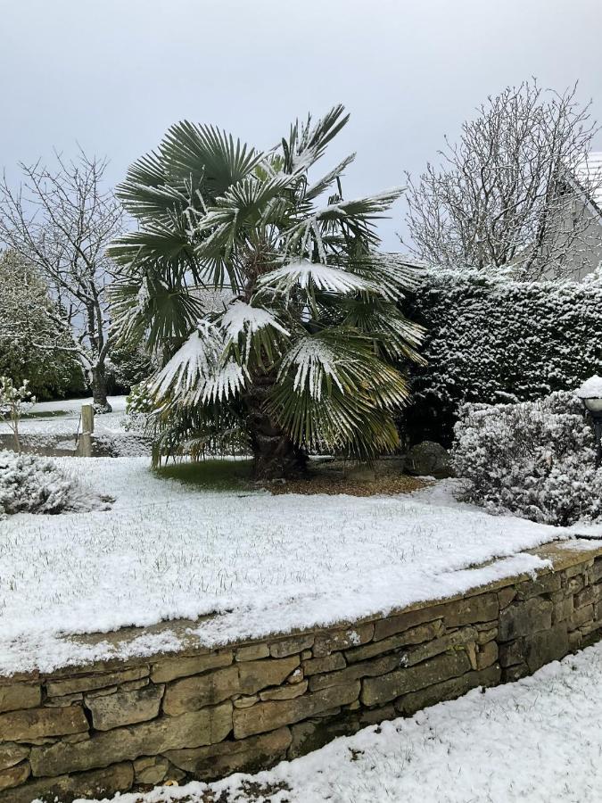Armidale Cottages B&B Workington Extérieur photo